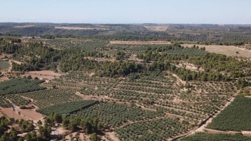 Olicatessen-Molí dels Torms
