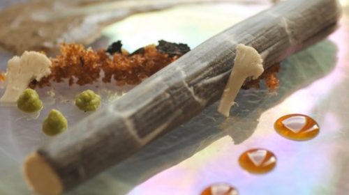 Fals calçot primer premi Laumont 2023